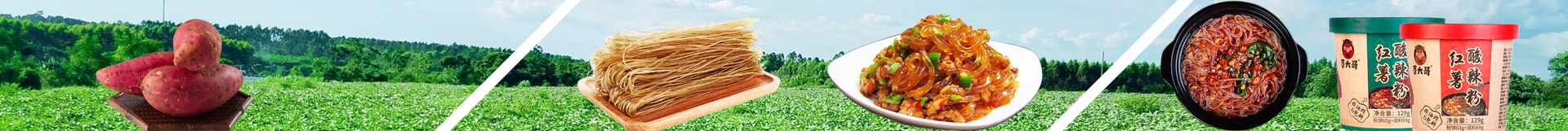 Hong'an Weijie Modern Agricultural Development Co., Ltd.