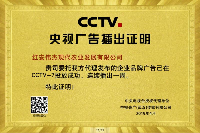 CCTV Advertising Partners